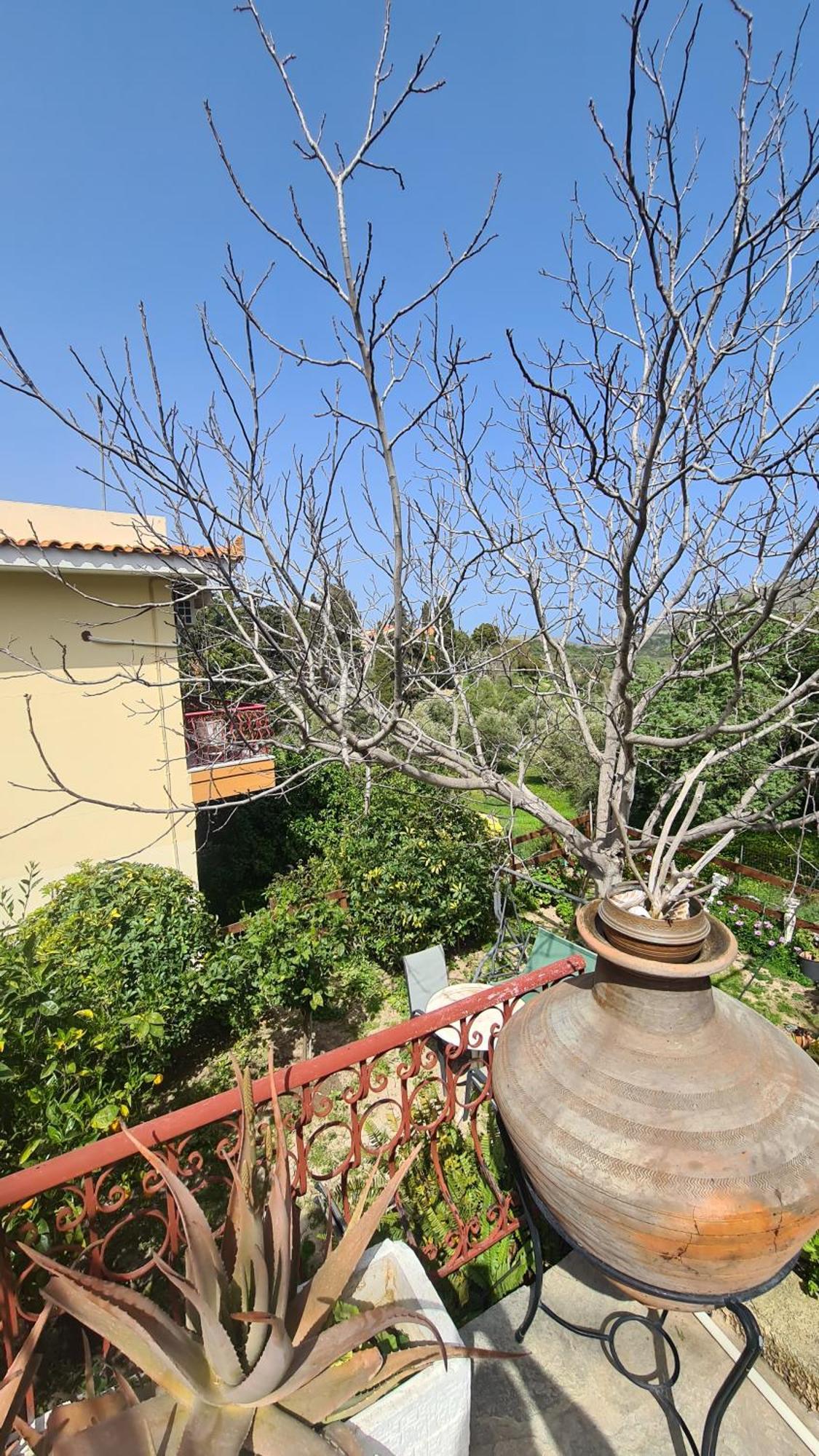 Stratigato Villa Chios Town Exterior photo